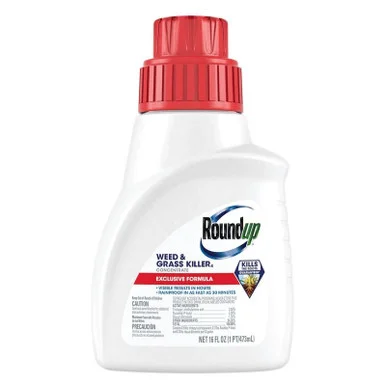 palmerfeed-3430837