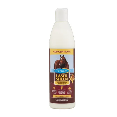 palmerfeed-3430992