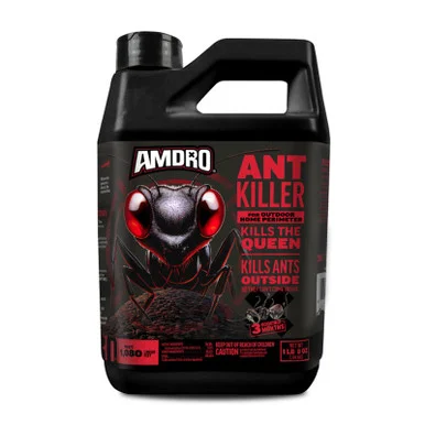 palmerfeed-3431049