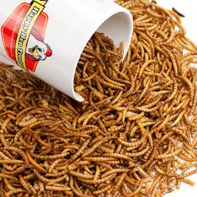 palmerfeed-3431107