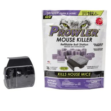 palmerfeed-3431844