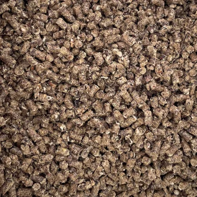 palmerfeed-3431915