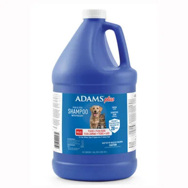 palmerfeed-3432042