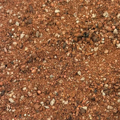 palmerfeed-3432213
