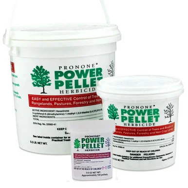 palmerfeed-3432381