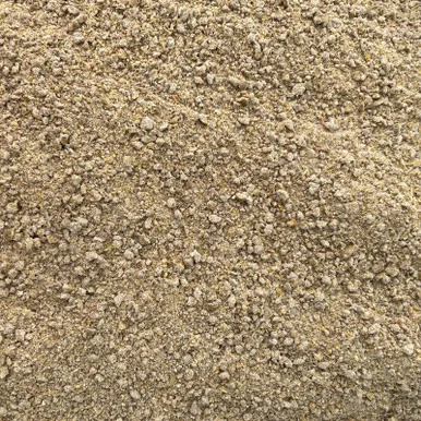 palmerfeed-3432573