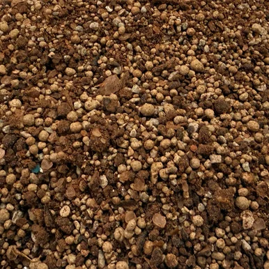 palmerfeed-3433034