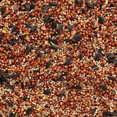 palmerfeed-3433079