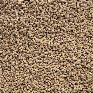 palmerfeed-3433122