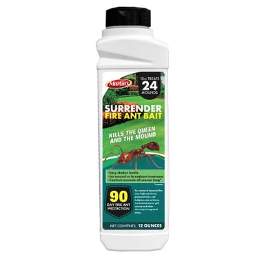 palmerfeed-3433164