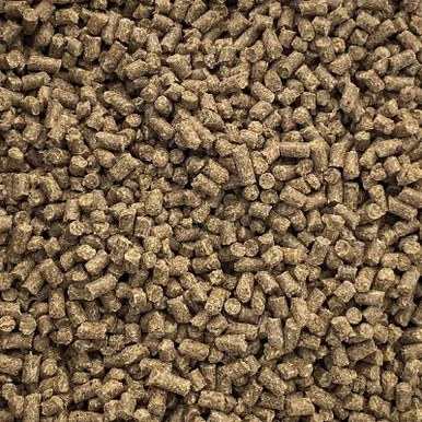 palmerfeed-3433594