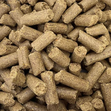 palmerfeed-3433695