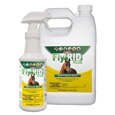 palmerfeed-3434391