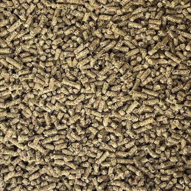 palmerfeed-3434428