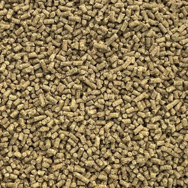 palmerfeed-3434555