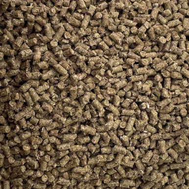palmerfeed-3434734