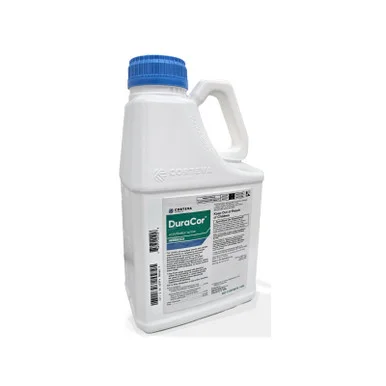palmerfeed-3435149