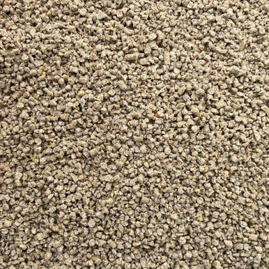 palmerfeed-3435290