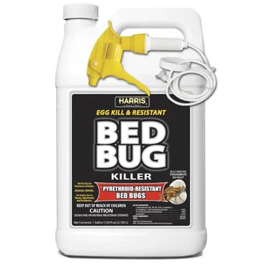 palmerfeed-3435850