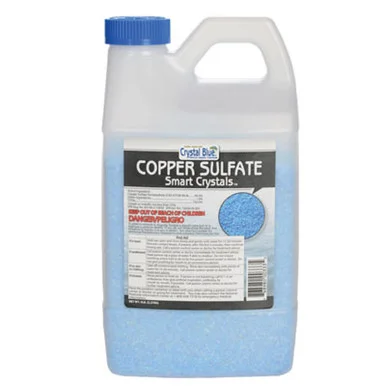 palmerfeed-3436005
