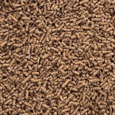 palmerfeed-3436259
