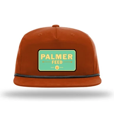 palmerfeed-3436291