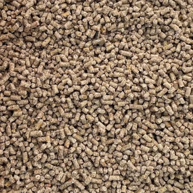 palmerfeed-3436298