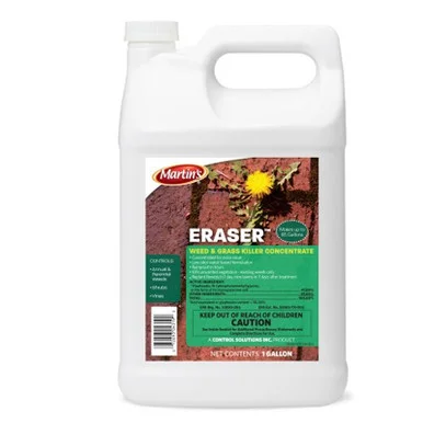 palmerfeed-3436350