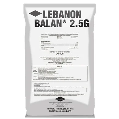 palmerfeed-3436520