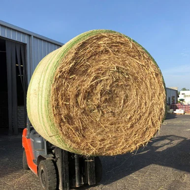 palmerfeed-3436569