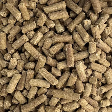 palmerfeed-3436829