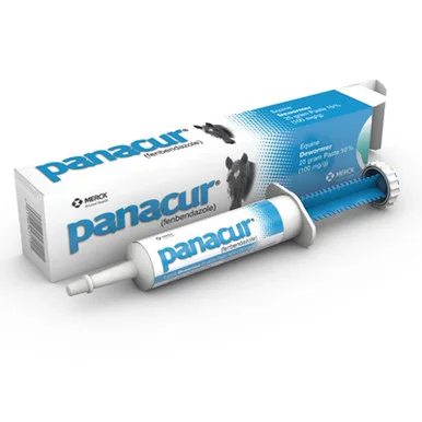 palmerfeed-3436850