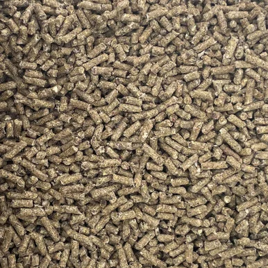 palmerfeed-3436940