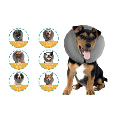 palmerfeed-3437335
