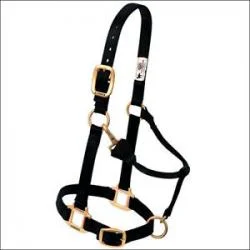 shop.berendbros-3357072