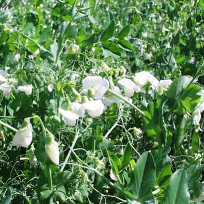 standishmilling3363502