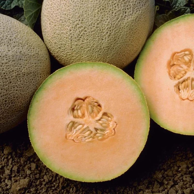 standishmilling3370925