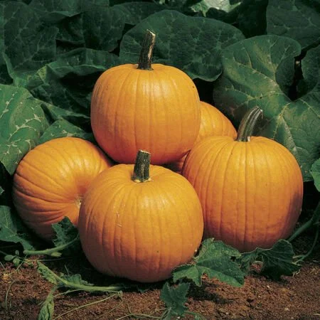 standishmilling3371052