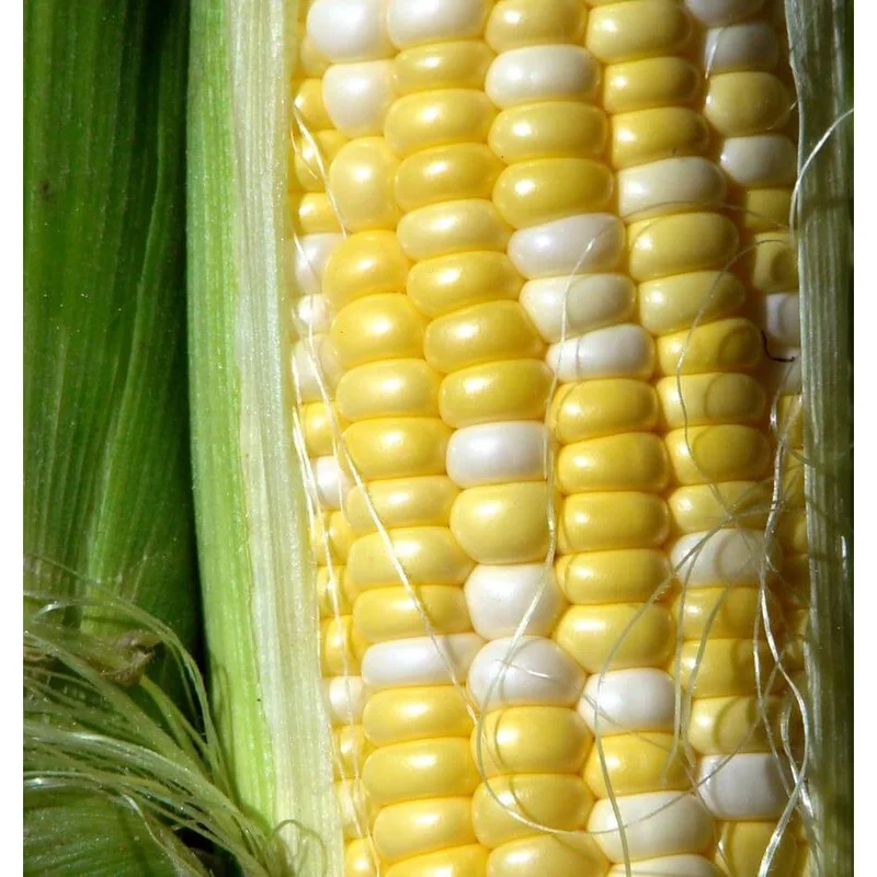 standishmilling3371443
