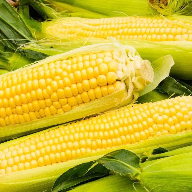 standishmilling3387086