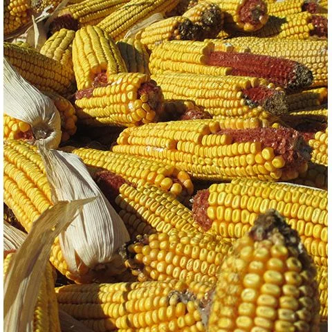standishmilling3390522