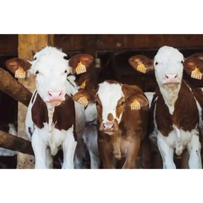 standishmilling3391174