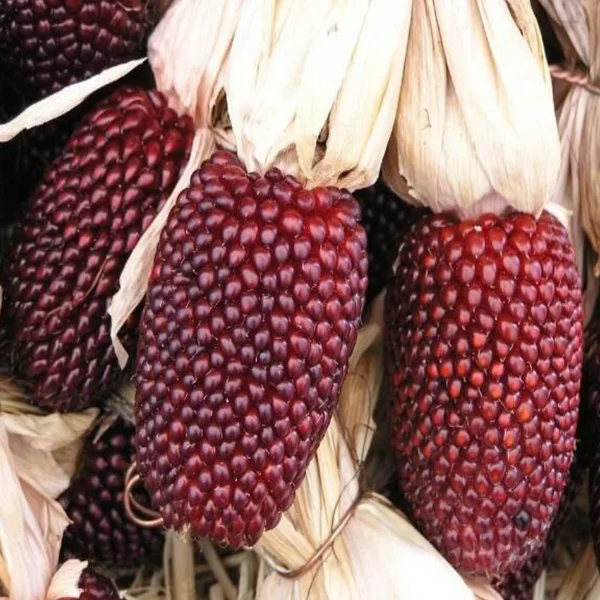 standishmilling3398774