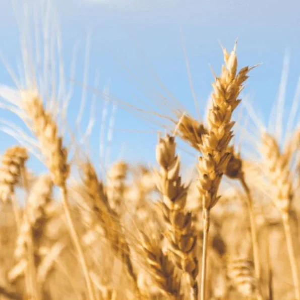 standishmilling3399386