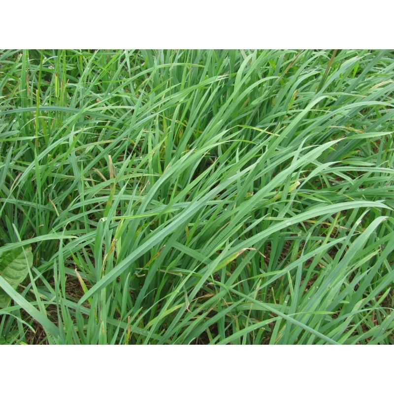 standishmilling3399710