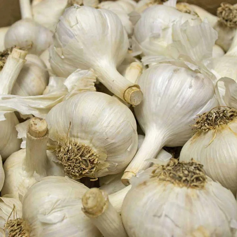 standishmilling3401247