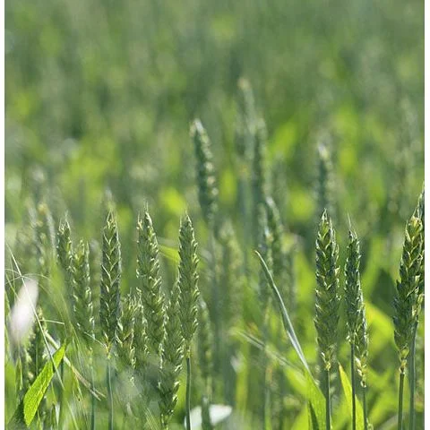 standishmilling3414666