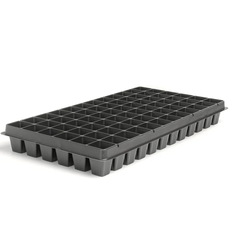 steveregan3373470