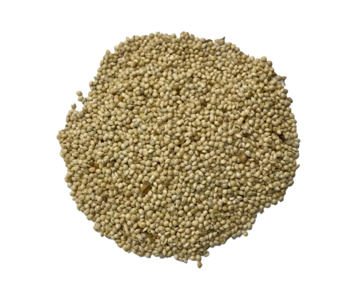 thefeedstoretn3378126